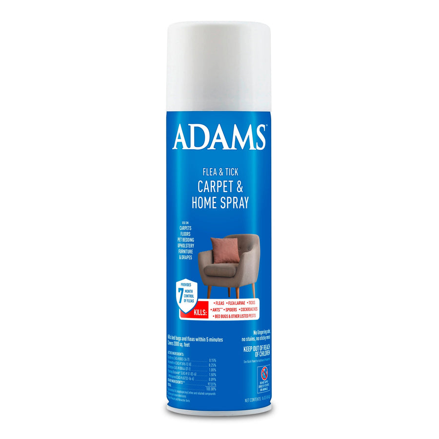 Blue ADAMS Flea & Tick Carpet & Home Spray aerosol can with white cap and product label showing a chair graphic