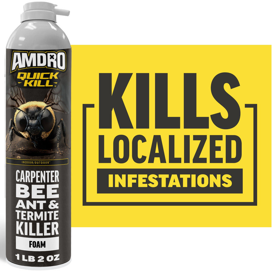 A can of AMDRO Quick Kill foam shows a close-up bee graphic beside bold text reading “Kills localized infestations.”