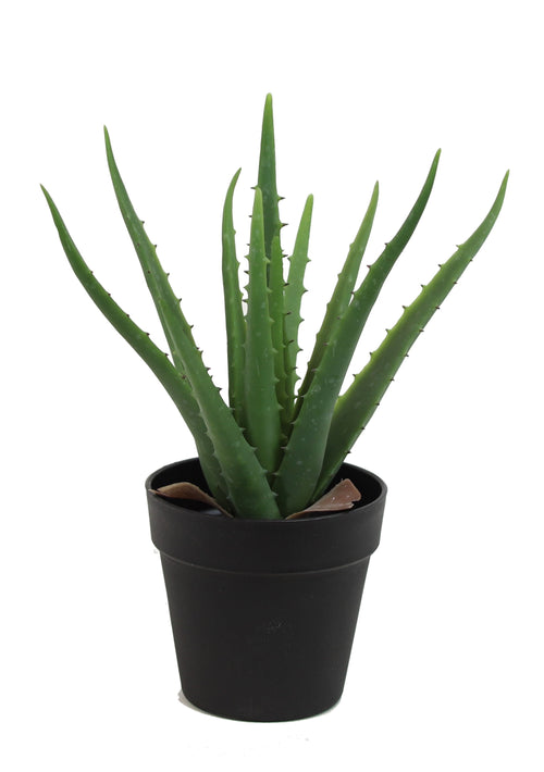 Artificial aloe vera plant with long spiky green leaves in a matte black grower’s pot on white background
