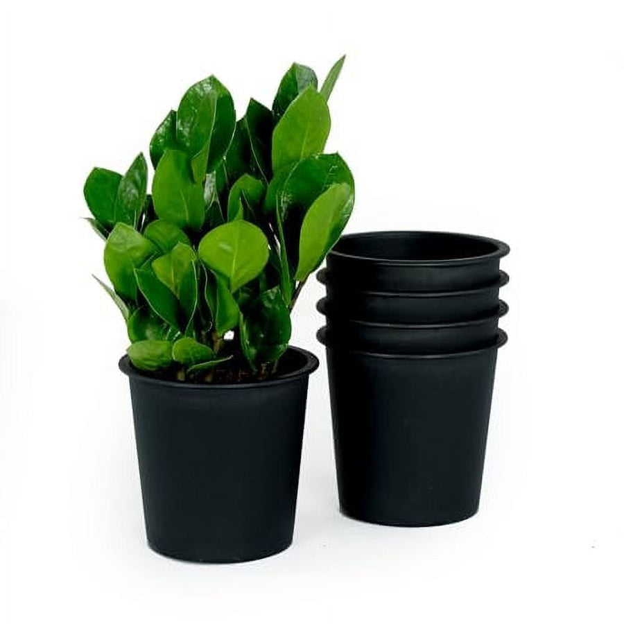 Black round plastic nursery pot next to a potted green plant on white background
