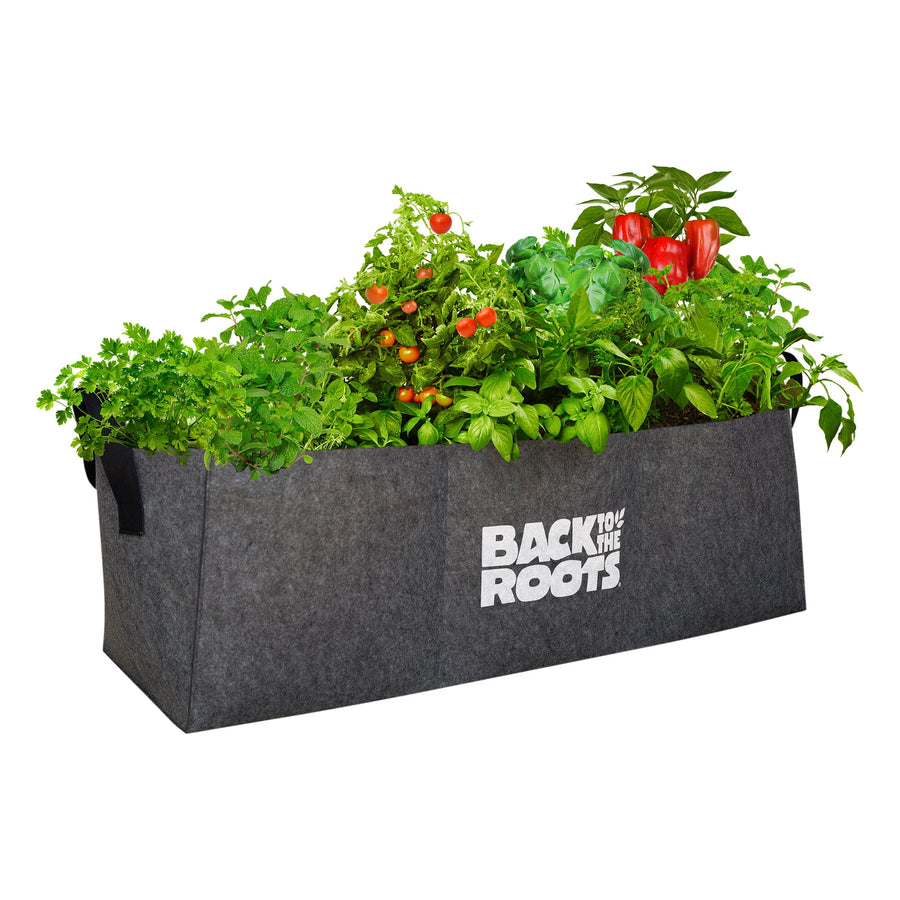 Rectangular gray fabric raised garden bed filled with herbs and vegetables, branded 'Back to the Roots' on the side.