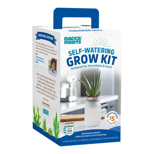 Packaged Back to the Roots self-watering grow kit box showing product photo and brand logo with blue handle