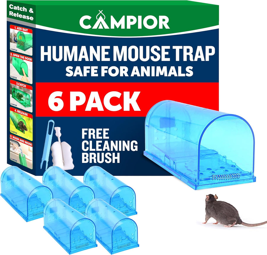 Blue translucent Campior humane mouse traps with product box showing '6 pack' and a mouse