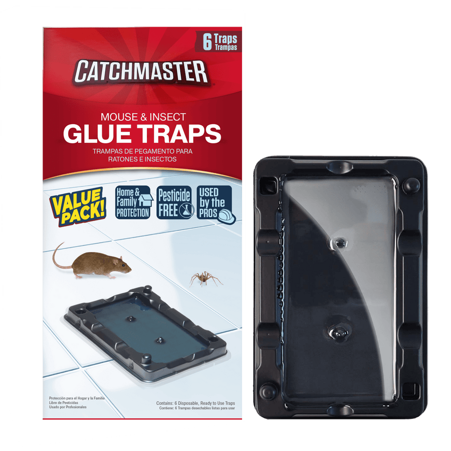 Red Catchmaster retail box next to a black rectangular glue trap shown on a white tiled surface.