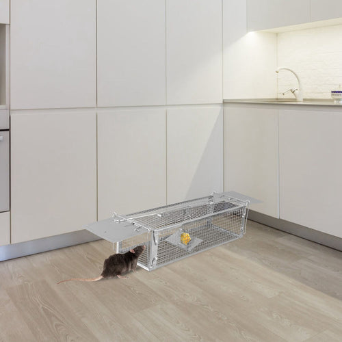 Metal dual-door live rat trap cage on a kitchen floor with a rat approaching bait inside the mesh trap