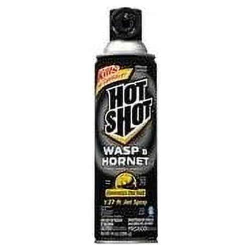 Front-facing Hot Shot aerosol canister labeled Wasp & Hornet Killer with black cap on white background