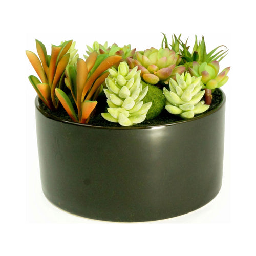 K-Cliffs black round ceramic planter filled with mixed faux succulents and green moss