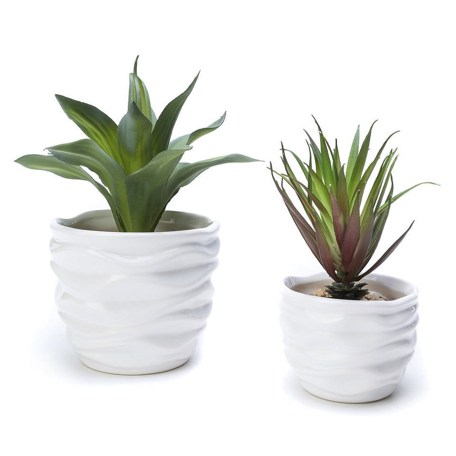 Pair of white ceramic pots with modern wave texture each holding a succulent, on a white background.
