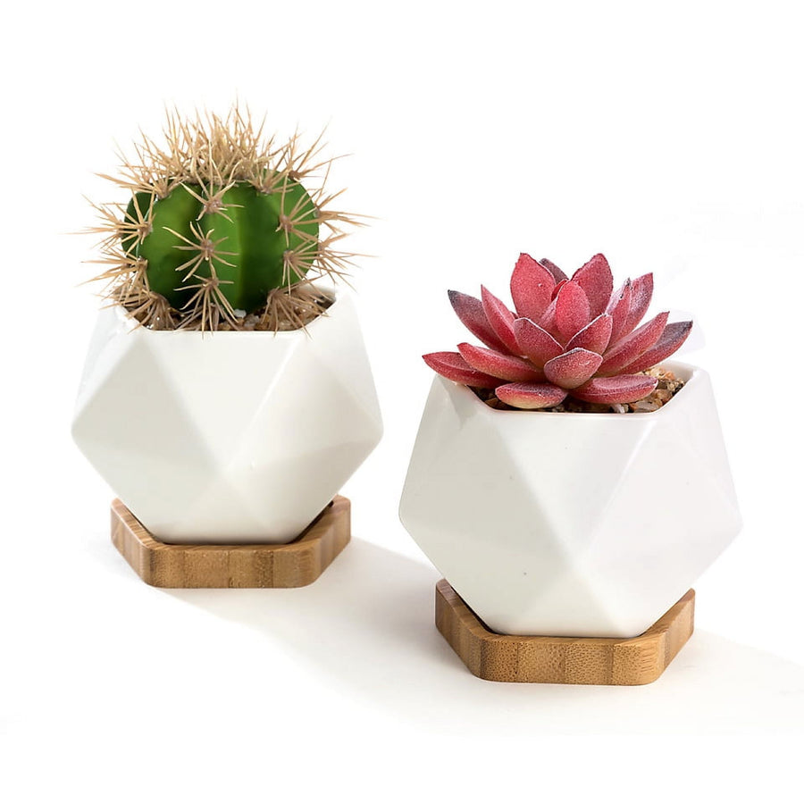Two white faceted diamond ceramic succulent planters on hexagonal bamboo saucers with planted cactus and succulent