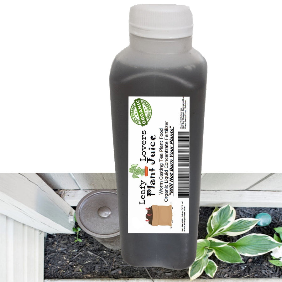 Plastic squeeze bottle of dark liquid with a Leafy Lovers Plant Juice label over a garden bed background