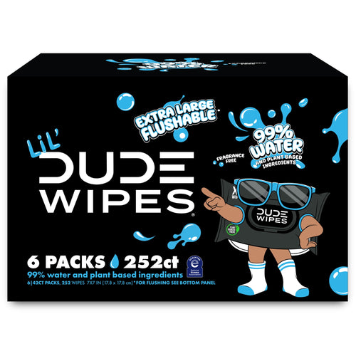 LiL' Dude Wipes black packaging artwork with cartoon wipe mascot, 6 packs 252 count and 99% water callouts