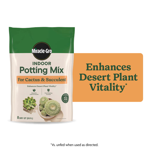 Front-facing Miracle-Gro Indoor Potting Mix bag for cactus and succulent with product name and cactus image