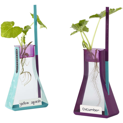 Two clear triangular hydroponic flasks with purple and teal tops showing plant roots and labels