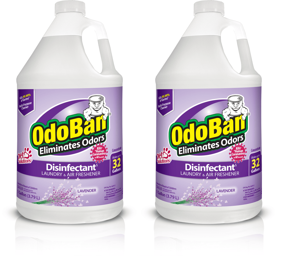 Two identical one-gallon OdoBan lavender disinfectant bottles with purple labels shown side by side on a white background.