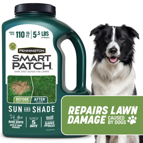 Green jug of Pennington Smart Patch Sun and Shade lawn repair product beside a black-and-white dog, with callout text about repairing damage from dogs.