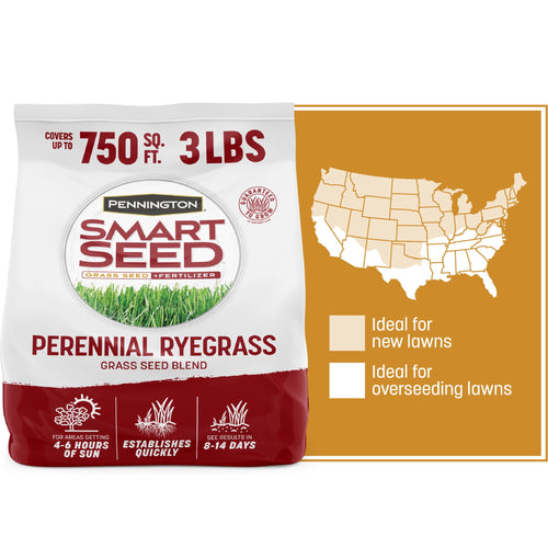 Front-facing product bag graphic showing Pennington Smart Seed Perennial Ryegrass packaging with coverage and 3 lb callouts and a USA suitability map panel