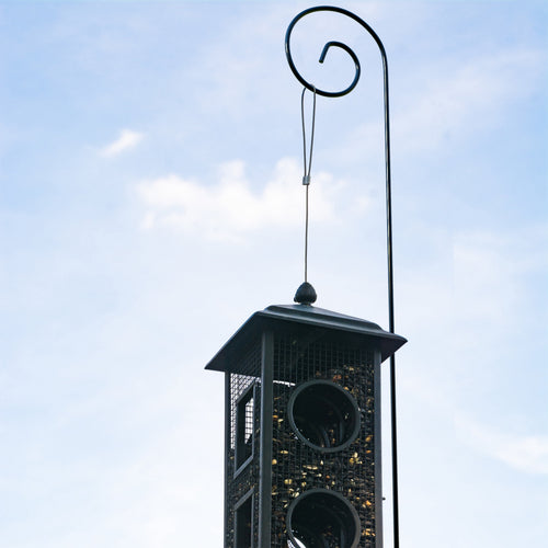 Black metal shepherd hook with curled top holding a hanging bird feeder against a blue sky