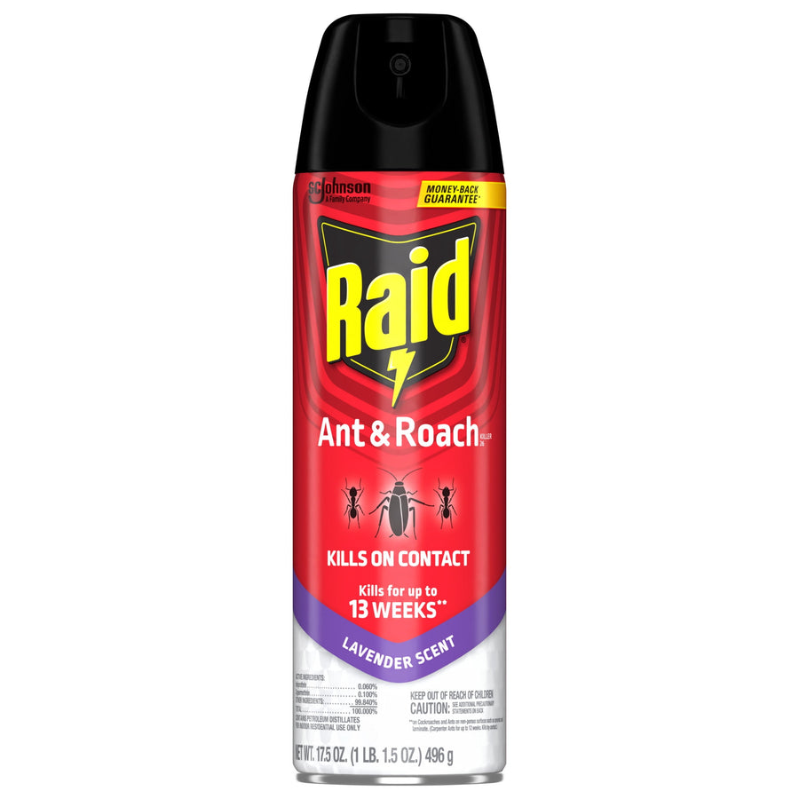 Single can of Raid Ant & Roach aerosol spray with red label and lavender scent callout on white background.