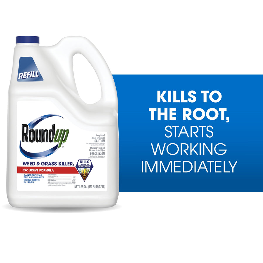 White Roundup refill jug with label visible next to blue panel reading "Kills to the root, starts working immediately"