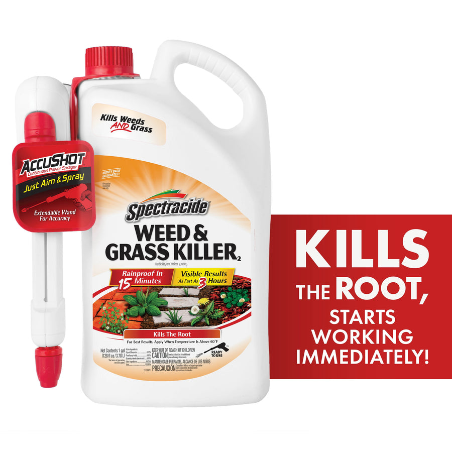 White 1-gallon Spectracide Weed & Grass Killer jug with attached red AccuShot sprayer and bold product label on white background.