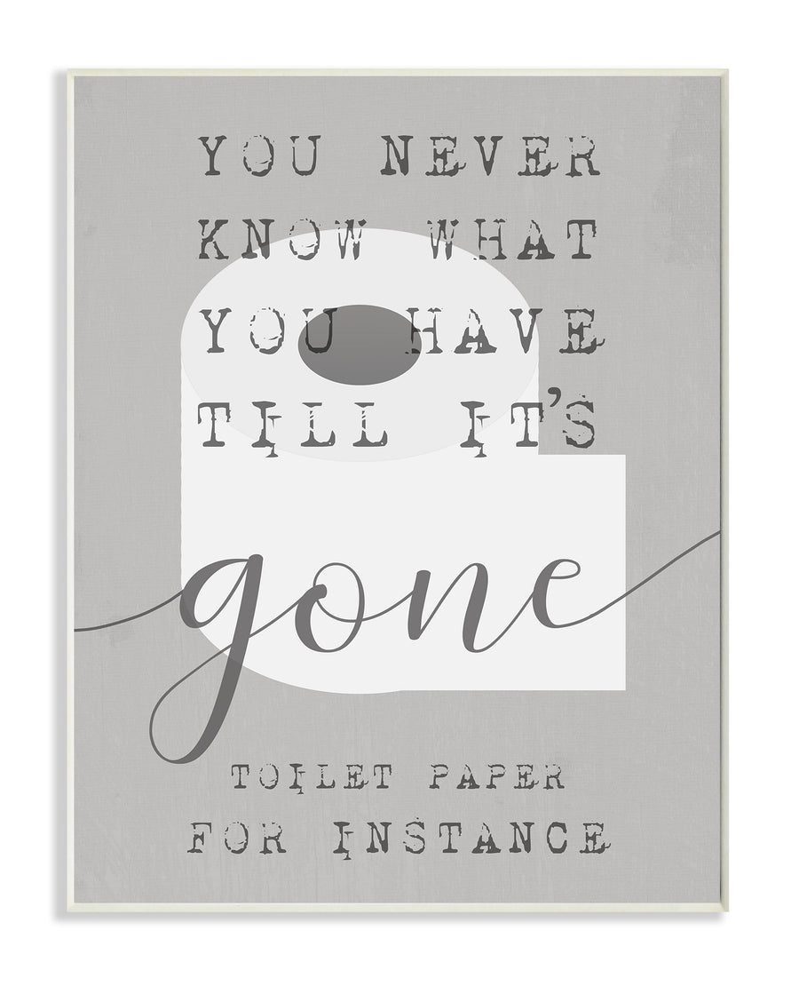 Gray framed art print showing a stylized toilet paper roll and text reading “you never know what you have till it’s gone”