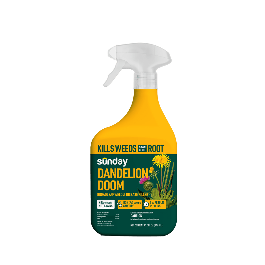 Yellow and green spray bottle labeled Sunday Dandelion Doom ready-to-use weed killer with trigger sprayer and dandelion graphic.