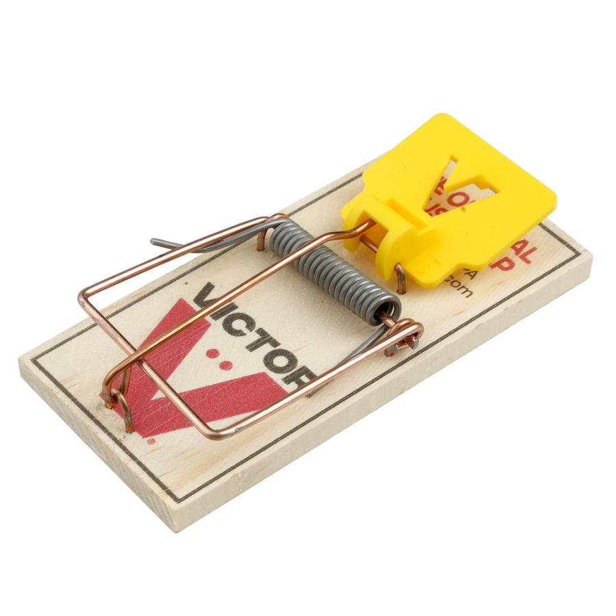 Single Victor wooden mouse trap with yellow trigger plate photographed at an angle on white background