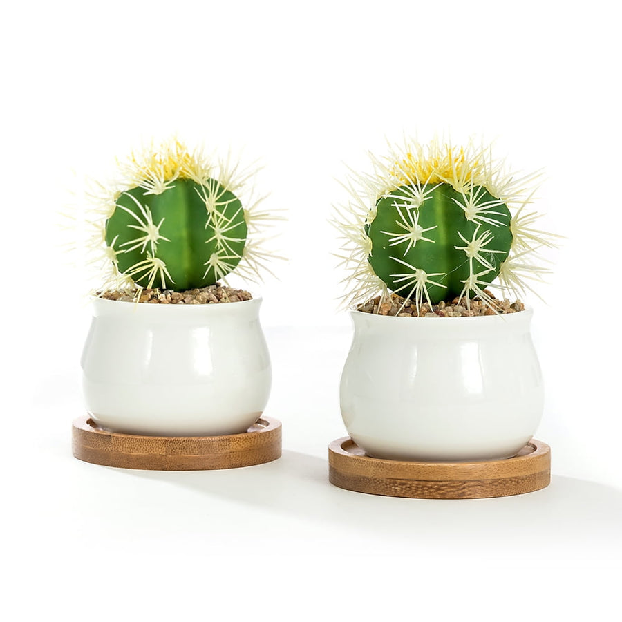 Two white jar-shaped ceramic pots on round bamboo saucers each planted with a small green cactus and pebbles