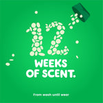 Green panel showing spilled scent beads forming the text “12 WEEKS OF SCENT.” and a pouring cap