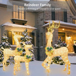 3-Piece Lighted Reindeer Outdoor Christmas Decoration – Warm White LED Deer Family with Ground Stakes – Waterproof Yard Garden Lawn Holiday Lights – view 2