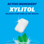 Graphic of a single white piece of gum above mint leaves and splash with large text highlighting active ingredient xylitol