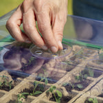 Finger adjusting an adjustable vent on a clear greenhouse lid placed over a seed tray with small seedlings beneath