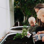 Adult and two children planting seedlings in oval galvanized raised garden beds near a white wall and greenery