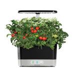 AeroGarden countertop grower filled with lush tomato plants producing red and green cherry tomatoes beneath LED hood