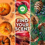 Triptych graphic with pumpkins, apples and pinecones and central panel reading ‘Find Your Scent’ with Air Wick logo