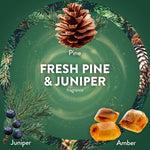 Circular green label with pine cone, pine sprig, juniper berries and amber pieces reading Fresh Pine & Juniper fragrance
