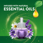 Single Air Wick lavender & chamomile purple refill bottle with chamomile and lavender flowers on green background advertising essential oils