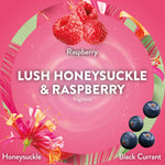 Graphic label reading 'Lush Honeysuckle & Raspberry' with raspberries, honeysuckle flower and black currant accents for Air Wick scent