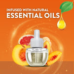 Single Air Wick plug-in oil refill bottle with peach and citrus fruit imagery and 'infused with natural essential oils' text