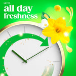Graphic clock illustration with a large yellow daffodil and text 'all day freshness' in white on a green background.