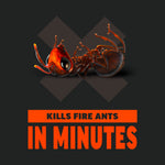 Illustration of a dead fire ant over an X with bold text ‘Kills Fire Ants in Minutes’ on a dark background.