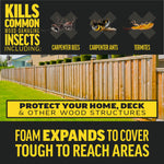 Promotional graphic showing wood fence and text saying foam expands to cover tough-to-reach areas, listing carpenter bees, ants and termites.