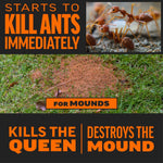 Graphic montage showing close-up fire ants, an ant mound in grass and bold orange text claiming it kills the queen and destroys the mound