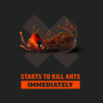 Illustration of a fallen orange ant over an X symbol with the text “Starts to kill ants immediately” in bold orange