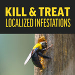 Marketing image with headline “Kill & Treat Localized Infestations” above a photo of a carpenter bee entering a hole in wood.