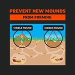 Infographic showing visible and hidden ant mound cross-sections with 'Prevent New Mounds from Forming' header