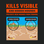 Informational graphic showing a cross-section of visible and hidden ant mounds with labels and explanatory text.