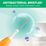 Illustration showing an interdental brush head with text 'Antibacterial bristles keeps head clean between uses' on green banner.