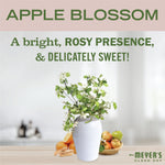 Promotional apple blossom graphic with vase of blossoms and fruit, text ‘A bright, rosy presence, & delicately sweet!’
