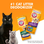 Promotional lifestyle graphic showing two ARM & HAMMER litter deodorizer boxes with two cats and '#1 cat litter deodorizer' headline